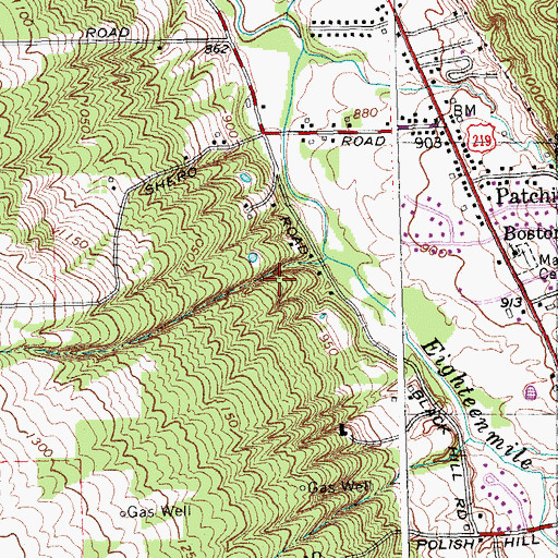 Topographic Map of Town of Boston, NY