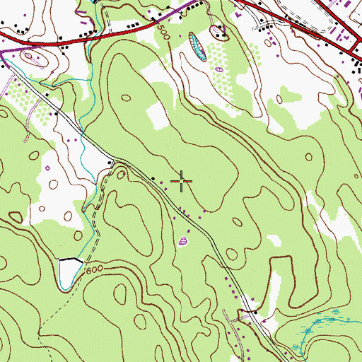 Topographic Map of Town of Cairo, NY