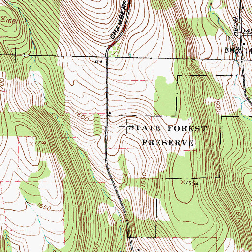 Topographic Map of Town of Catlin, NY