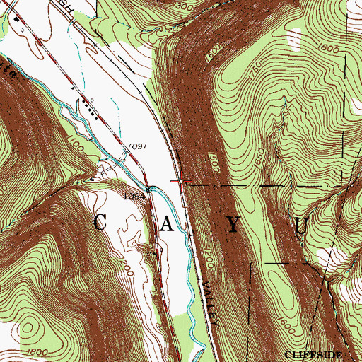 Topographic Map of Town of Cayuta, NY