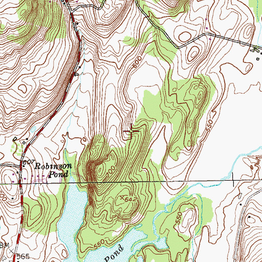Topographic Map of Town of Copake, NY