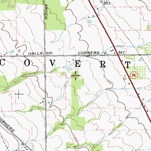Topographic Map of Town of Covert, NY