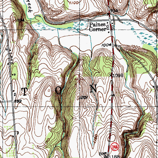 Topographic Map of Town of Covington, NY
