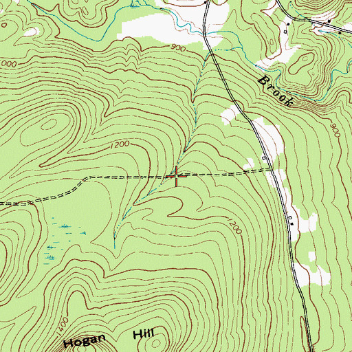 Topographic Map of Town of Crown Point, NY
