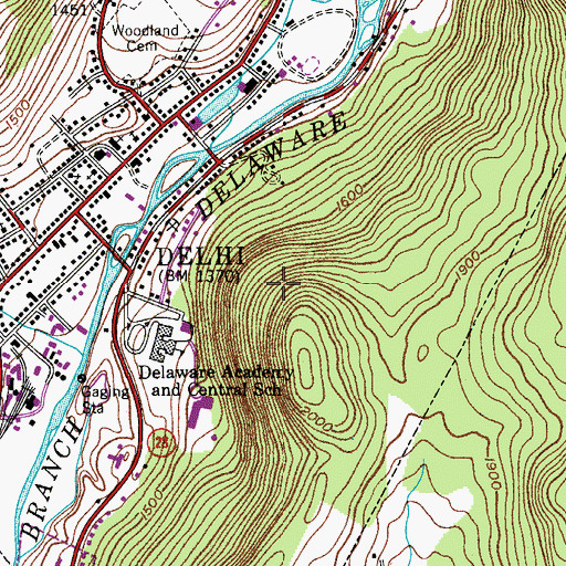 Topographic Map of Town of Delhi, NY