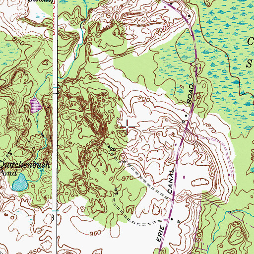 Topographic Map of Town of Diana, NY