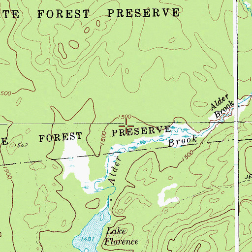 Topographic Map of Town of Duane, NY