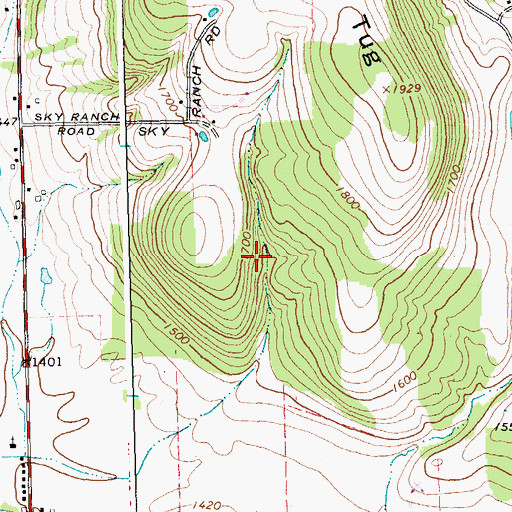 Topographic Map of Town of East Otto, NY