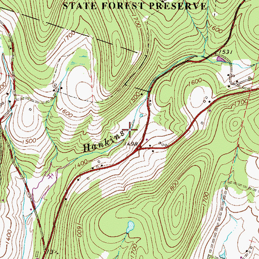 Topographic Map of Town of Fremont, NY