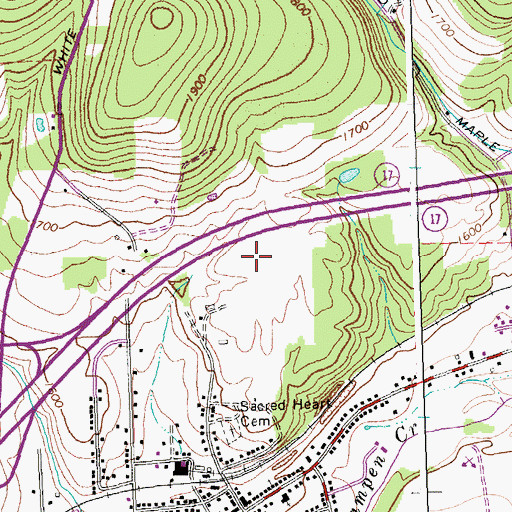 Topographic Map of Town of Friendship, NY