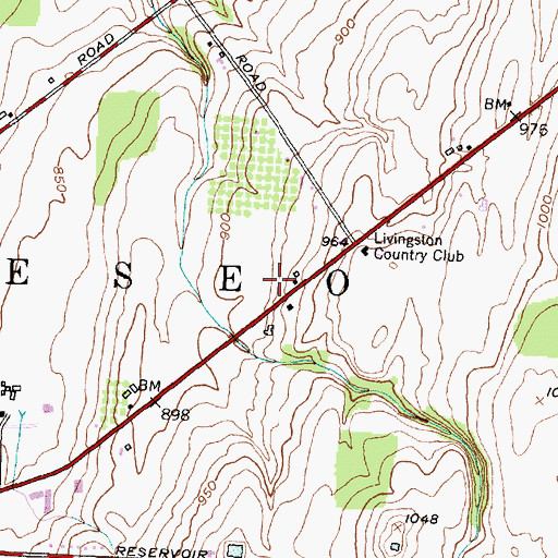 Topographic Map of Town of Geneseo, NY
