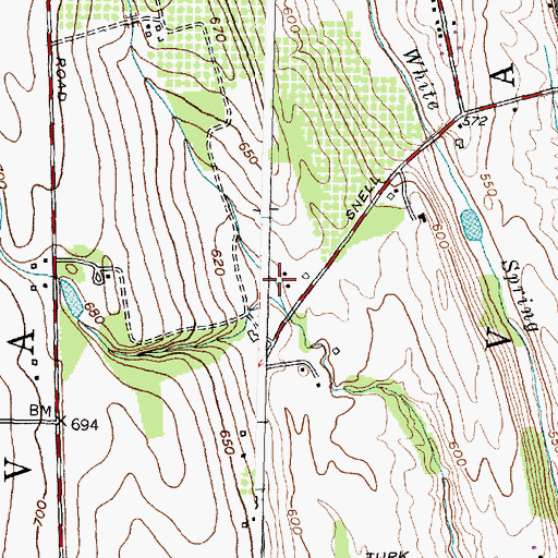 Topographic Map of Town of Geneva, NY