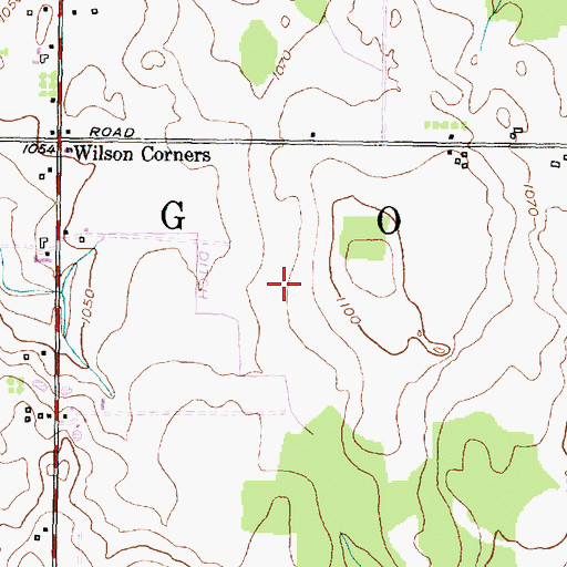 Topographic Map of Town of Gorham, NY