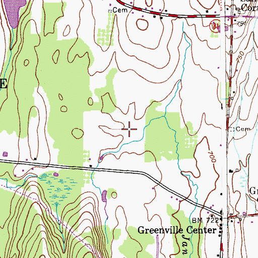 Topographic Map of Town of Greenville, NY