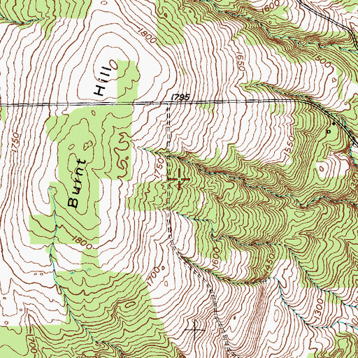 Topographic Map of Town of Hector, NY