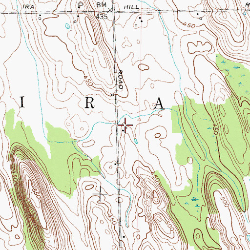 Topographic Map of Town of Ira, NY