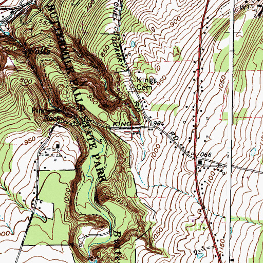 Topographic Map of Town of Ithaca, NY