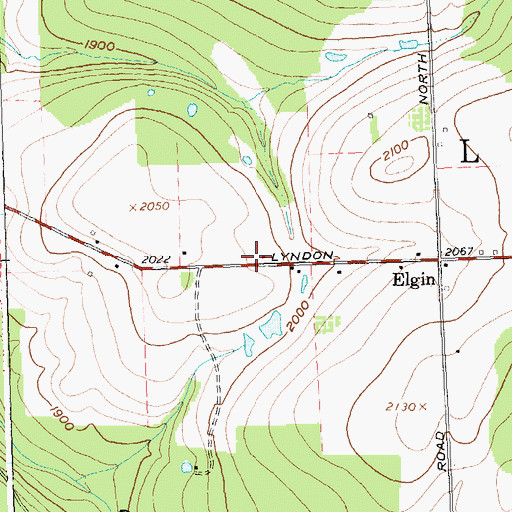 Topographic Map of Town of Lyndon, NY