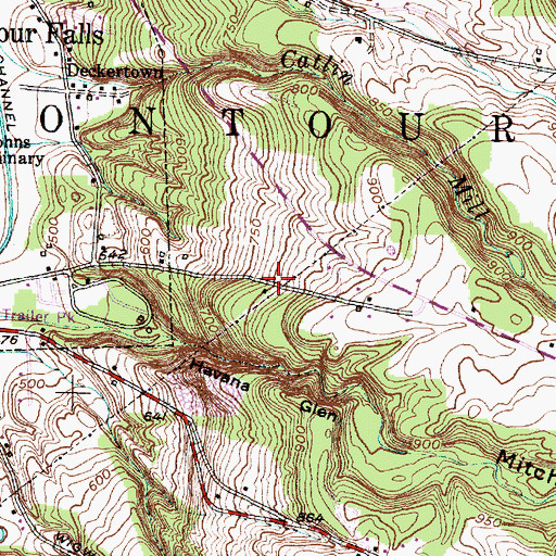 Topographic Map of Town of Montour, NY