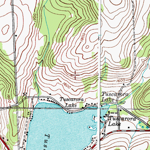 Topographic Map of Town of Nelson, NY