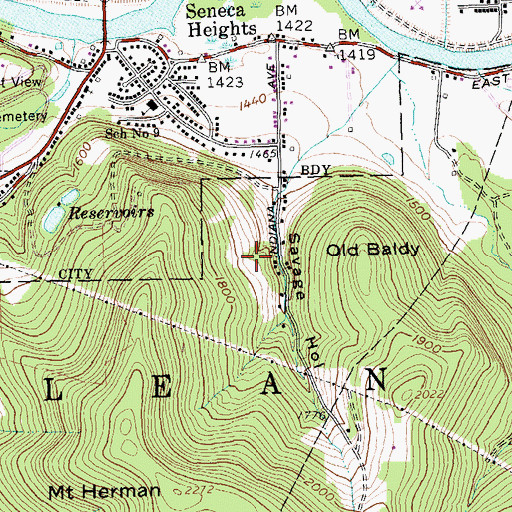 Topographic Map of Town of Olean, NY