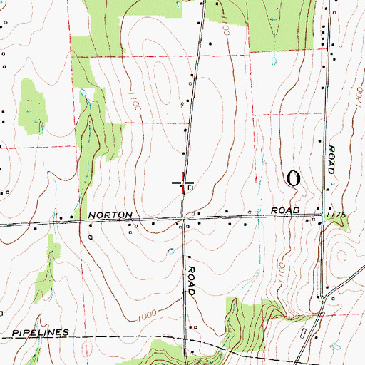 Topographic Map of Town of Onondaga, NY