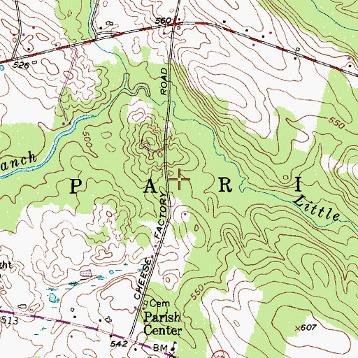 Topographic Map of Town of Parish, NY