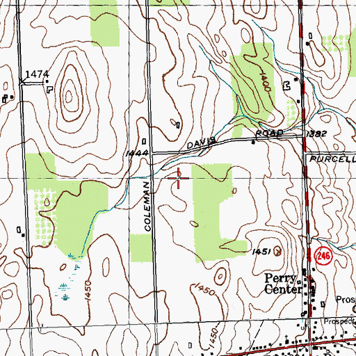 Topographic Map of Town of Perry, NY
