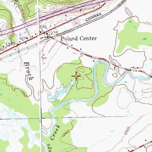 Topographic Map of Town of Poland, NY