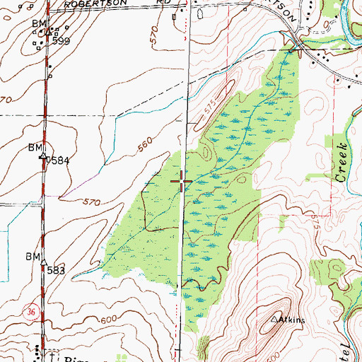 Topographic Map of Town of Riga, NY