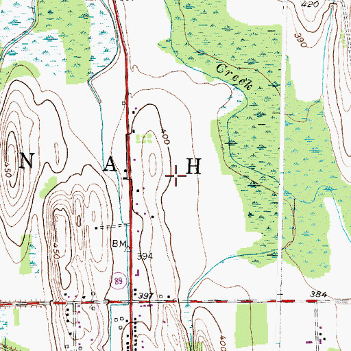 Topographic Map of Town of Savannah, NY