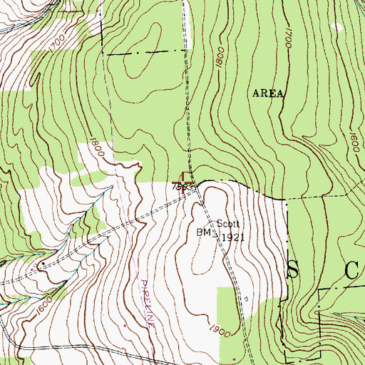 Topographic Map of Town of Scott, NY