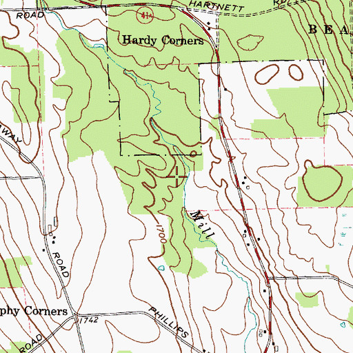 Topographic Map of Town of Sempronius, NY