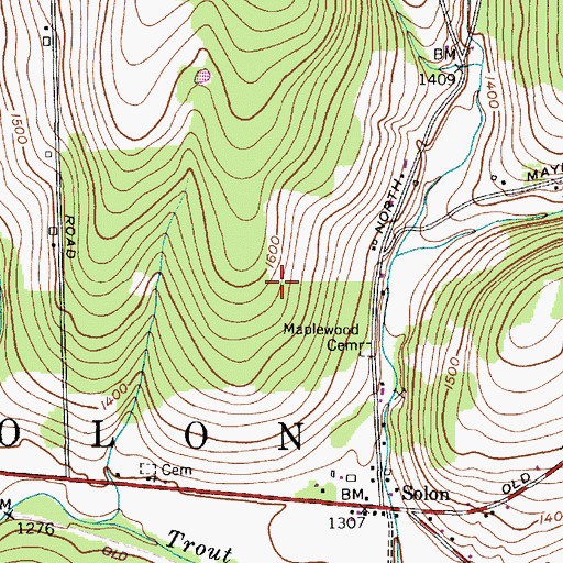 Topographic Map of Town of Solon, NY