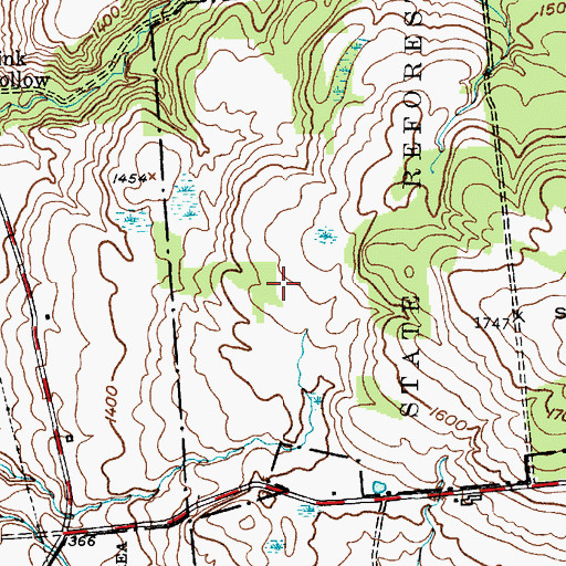 Topographic Map of Town of Steuben, NY