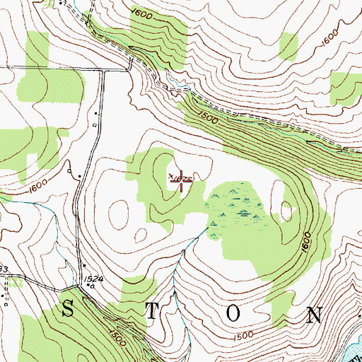 Topographic Map of Town of Thurston, NY