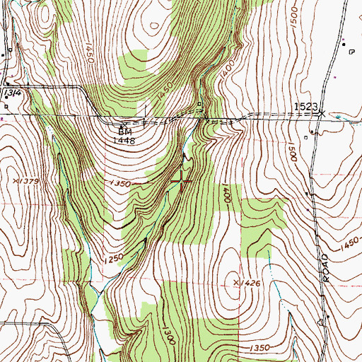 Topographic Map of Town of Veteran, NY