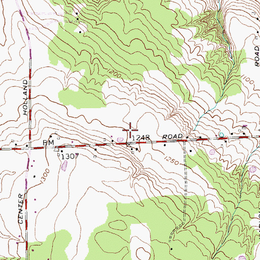 Topographic Map of Town of Wales, NY
