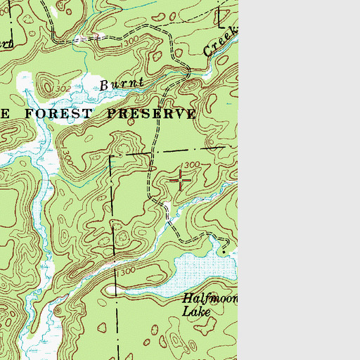 Topographic Map of Town of Watson, NY