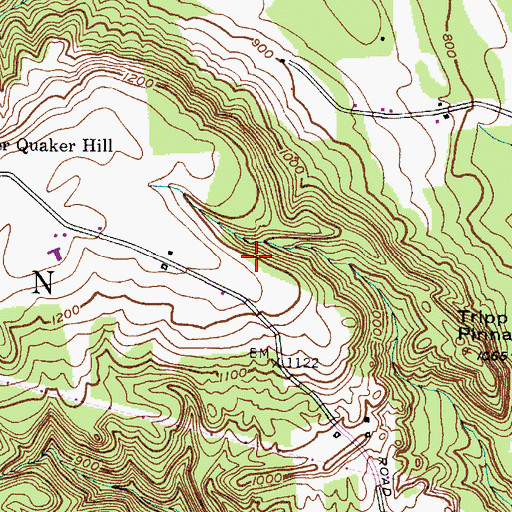 Topographic Map of Town of Western, NY