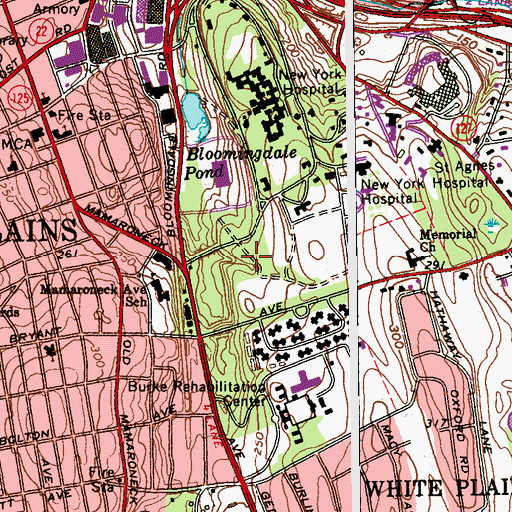 Topographic Map of City of White Plains, NY