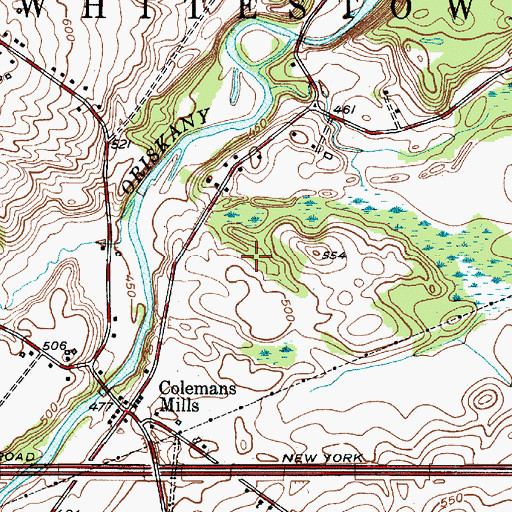 Topographic Map of Town of Whitestown, NY