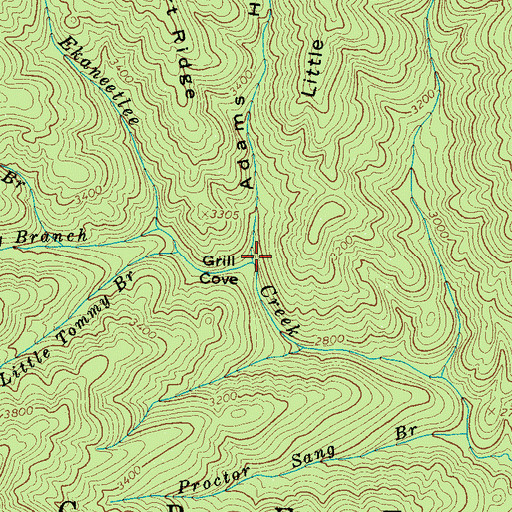 Topographic Map of Adams Hollow, NC