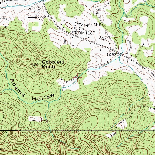 Topographic Map of Adams Hollow, NC