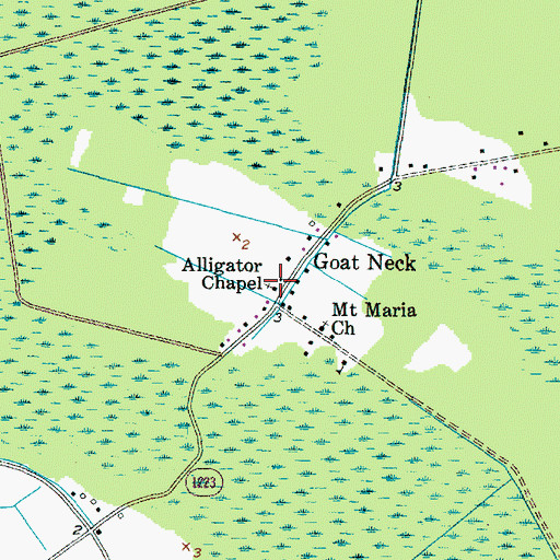 Topographic Map of Alligator Chapel, NC