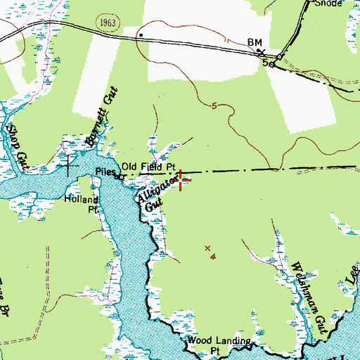Topographic Map of Alligator Gut, NC