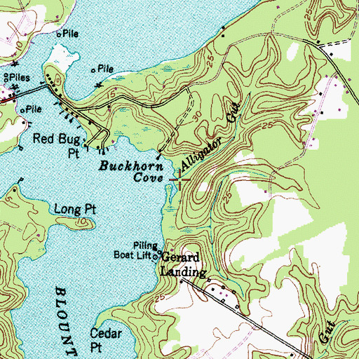 Topographic Map of Alligator Gut, NC
