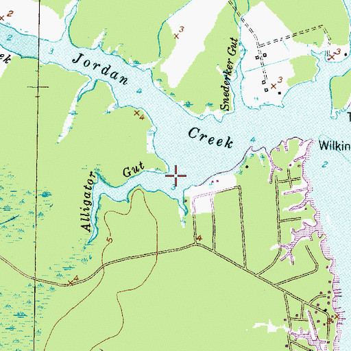 Topographic Map of Alligator Gut, NC