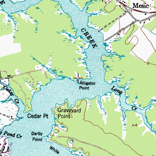 Topographic Map of Alligator Point, NC