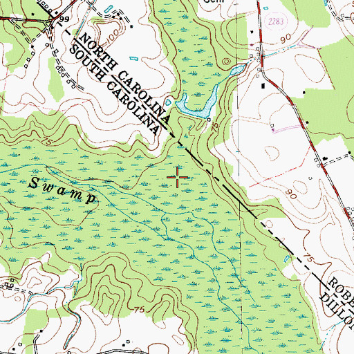 Topographic Map of Alligator Swamp, NC